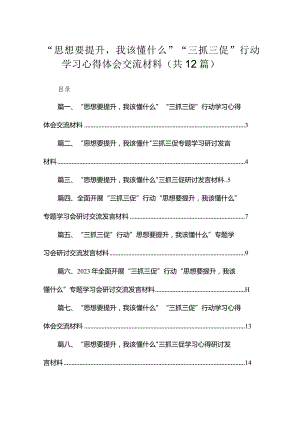 （12篇）“思想要提升我该懂什么”“三抓三促”行动学习心得体会交流材料合集.docx