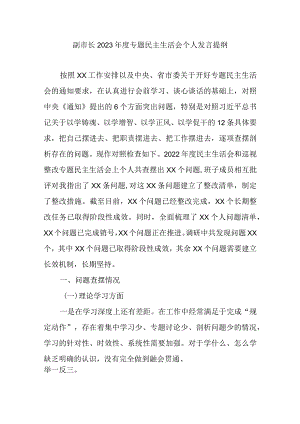 副市长2023年度专题民主生活会个人发言提纲.docx