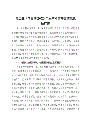 第二批学习贯彻2023年主题教育开展情况总结汇报.docx