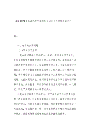 3篇2024年街道机关支部组织生活会个人对照检查材料.docx