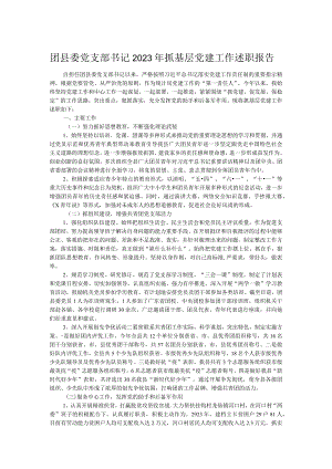 团县委党支部书记2023年抓基层党建工作述职报告.docx