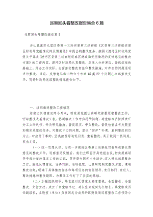 巡察回头看整改报告集合6篇.docx