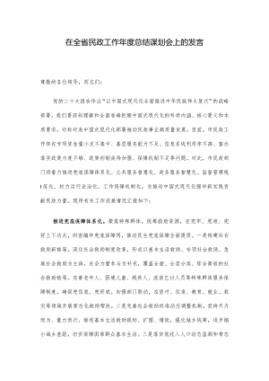 在全省民政工作年度总结谋划会上的发言.docx