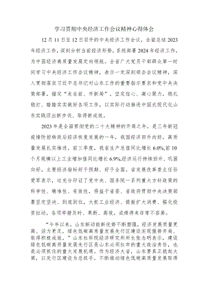 公立学校校长学习贯彻中央经济工作会议精神.docx