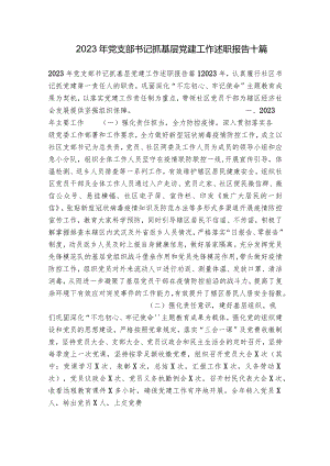 2023年党支部书记抓基层党建工作述职报告十篇.docx