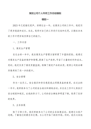 煤炭公司个人年终工作总结模板.docx