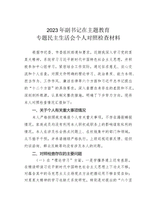 2023年副书记在主题教育专题民主生活会个人对照检查材料.docx