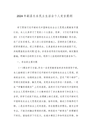 2024年副县长在民主生活会个人发言提纲.docx