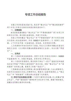 专项工作总结报告.docx