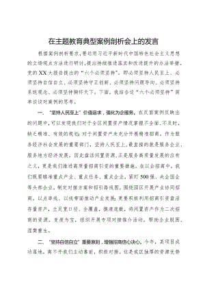 在主题教育典型案例剖析会上的发言.docx