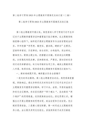 第二批学习贯彻2023年主题教育开展情况总结汇报(二篇).docx