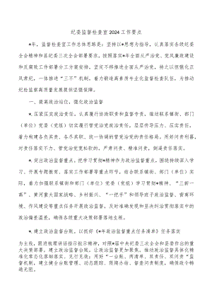 纪委监督检查室2024工作要点.docx