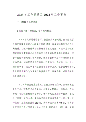 2023年工作总结及2024年工作要点.docx