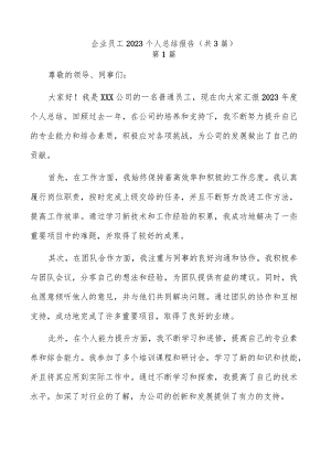 企业员工2023个人总结报告（共3篇）.docx