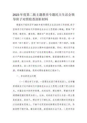 2023年度第二批主题教育专题民主生活会领导班子对照检查剖析材料.docx