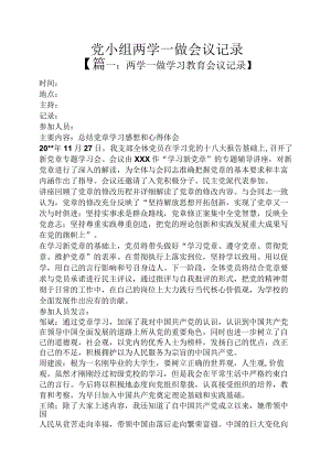 党小组两学一做会议记录.docx