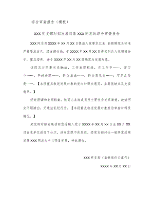 综合审查报告(模板).docx