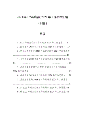 2023年工作总结及2024年工作思路汇编（9篇）.docx
