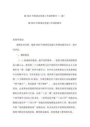 镇2023年抓基层党建工作述职报告(二篇).docx