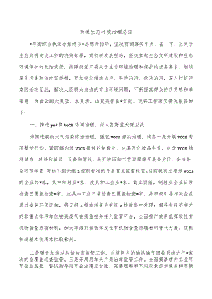 街道生态环境治理总结.docx