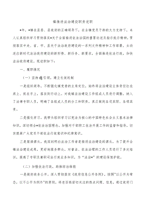 镇推进法治建设职责述职.docx
