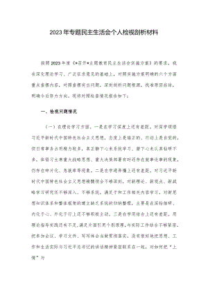 2023年专题民主生活会个人检视剖析材料.docx