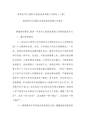 局党组书记2023年度抓基层党建工作报告(二篇).docx