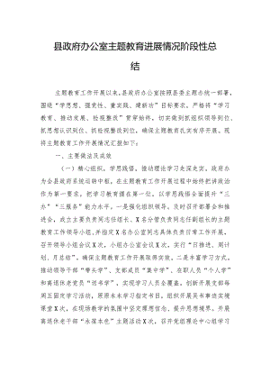 县政府办公室主题教育进展情况阶段性总结.docx