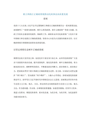树立和践行正确政绩观推动民政事业高质量发展.docx