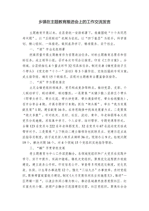 乡镇在主题教育推进会上的工作交流发言.docx