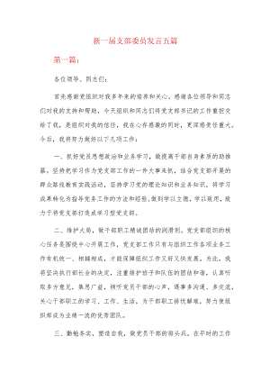 新一届支部委员发言五篇.docx