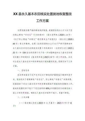 XX县永久基本农田核实处置就地恢复整改工作方案.docx