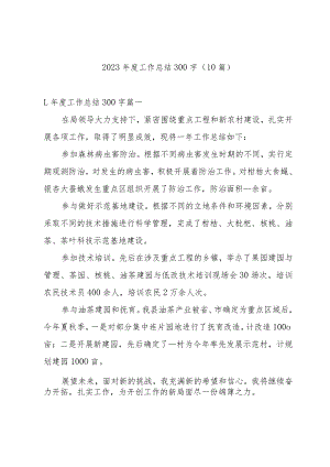 2023年度工作总结300字（10篇）.docx