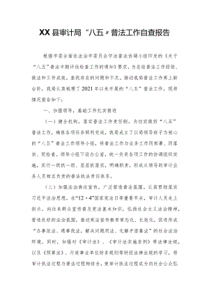 XX县审计局“八五”普法工作自查报告.docx