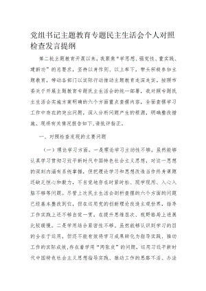 党组书记主题教育专题民主生活会个人对照检查发言提纲.docx