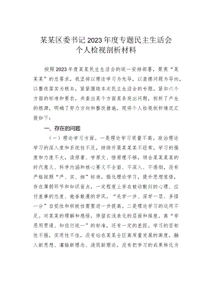 某某区委书记2023年度专题民主生活会个人检视剖析材料.docx