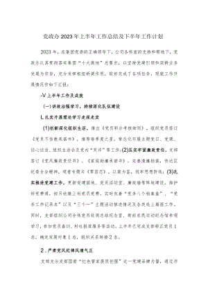 党政办2023年上半年工作总结及下半年工作计划.docx