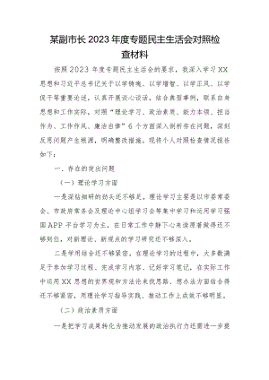 某副市长2023年度专题民主生活会对照检查材料.docx
