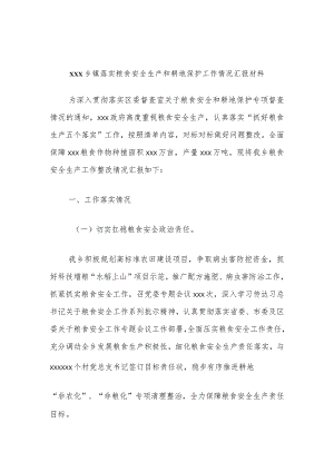 xxx乡镇落实粮食安全生产和耕地保护工作情况汇报材料.docx
