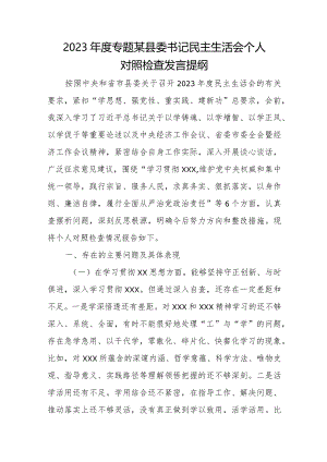 2023年度专题某县委书记民主生活会个人对照检查发言提纲.docx
