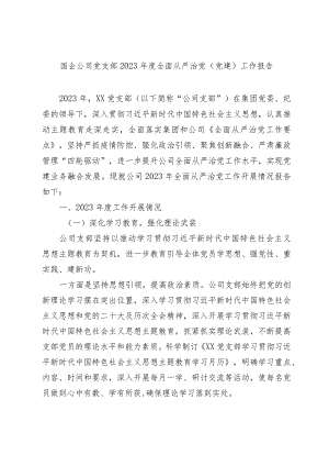 国企公司党支部2023年-2024度全面从严治党（党建）工作报告.docx