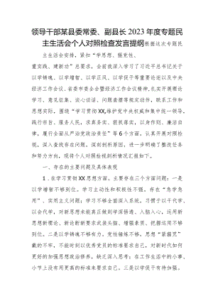 领导干部某县委常委、副县长2023年度专题民主生活会个人对照检查发言提纲.docx