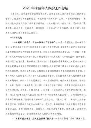 2023年未成年人保护工作总结.docx