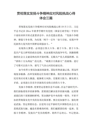 贯彻落实发扬斗争精神应对风险挑战心得体会三篇.docx