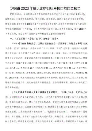 乡妇联2023年度大比拼目标考核自检自查报告.docx