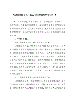 2篇社区党支部书记2023-2024年抓基层党建述职报告.docx