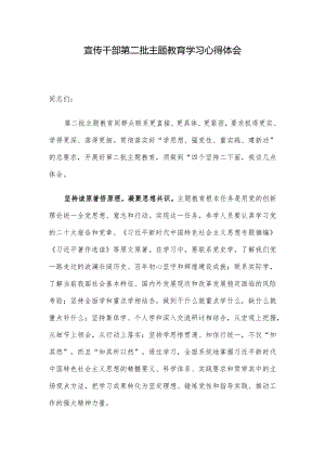 宣传干部第二批主题教育学习心得体会.docx