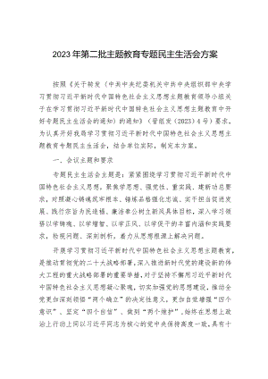2023年主题教育专题民主生活会方案5000字√.docx