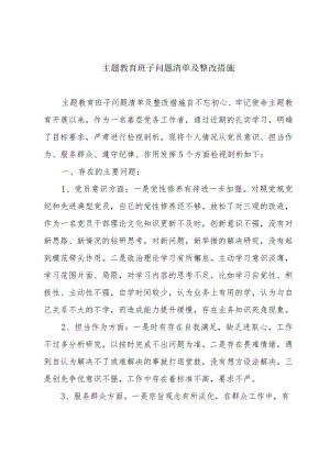 主题教育班子问题清单及整改措施.docx