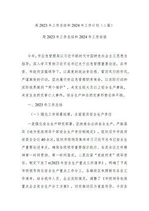 局2023年工作总结和2024年工作计划(二篇).docx